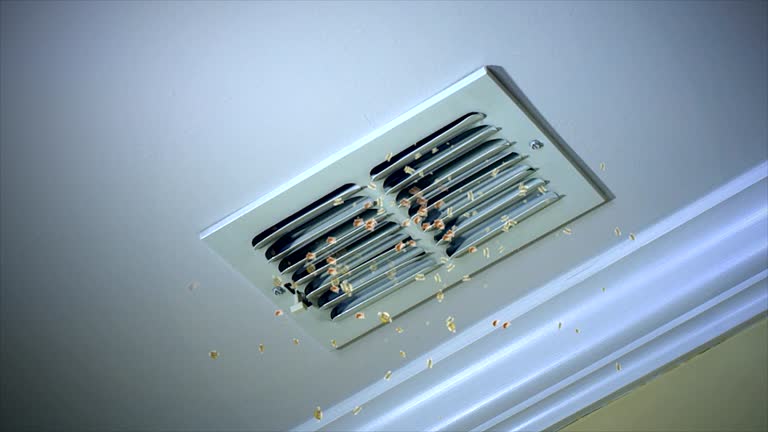 Best Best Air Duct Cleaning Company  in El Campo, TX