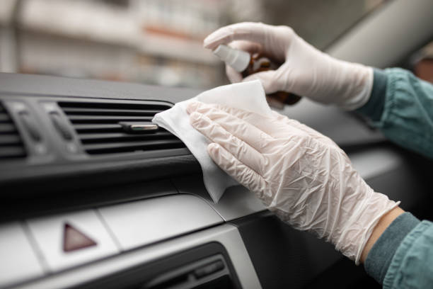 Best Air Duct Mold Removal  in El Campo, TX