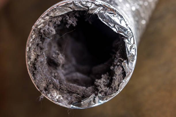 Best Ductwork Cleaning Services  in El Campo, TX